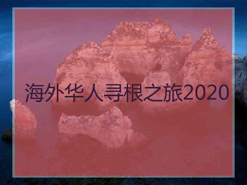 海外华人寻根之旅2020