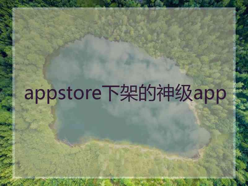 appstore下架的神级app