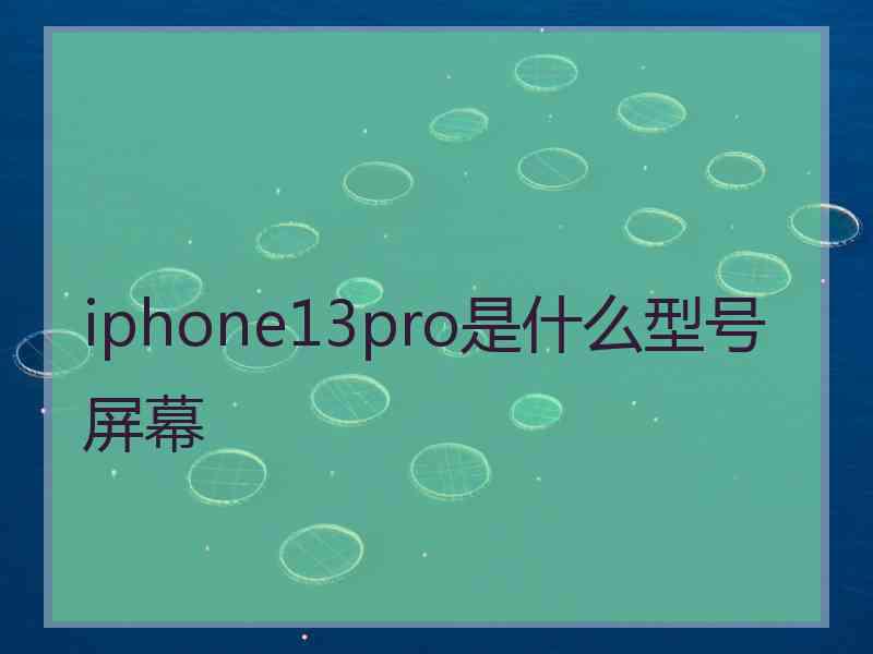 iphone13pro是什么型号屏幕