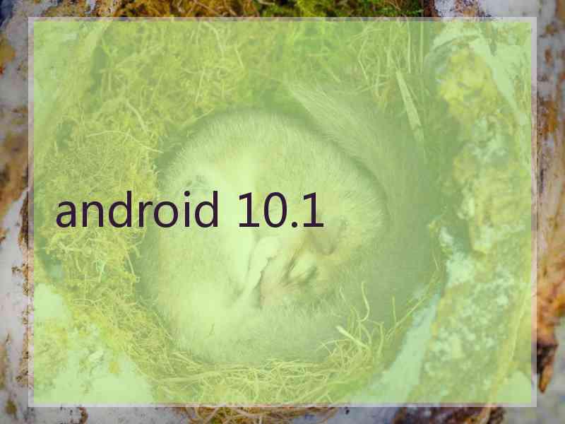 android 10.1