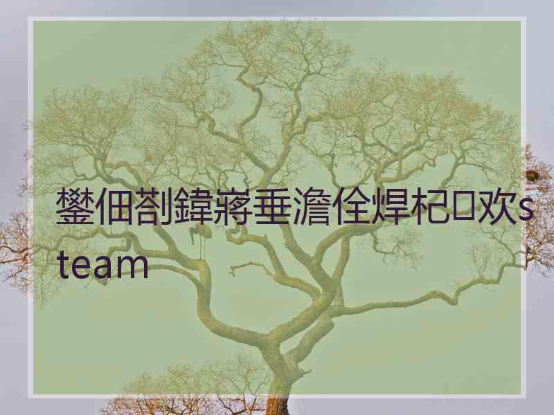 鐢佃剳鍏嶈垂澹佺焊杞欢steam