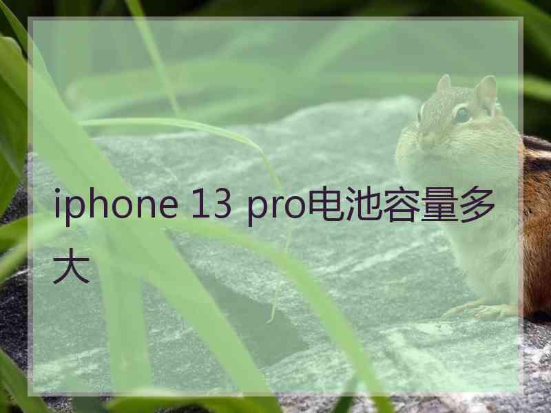 iphone 13 pro电池容量多大