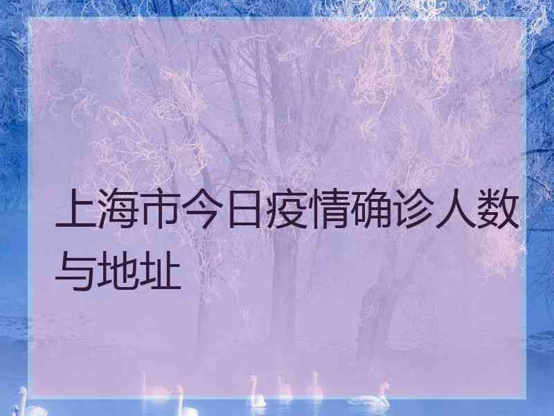 上海市今日疫情确诊人数与地址