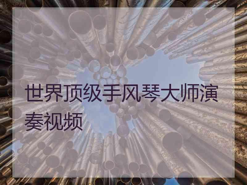 世界顶级手风琴大师演奏视频