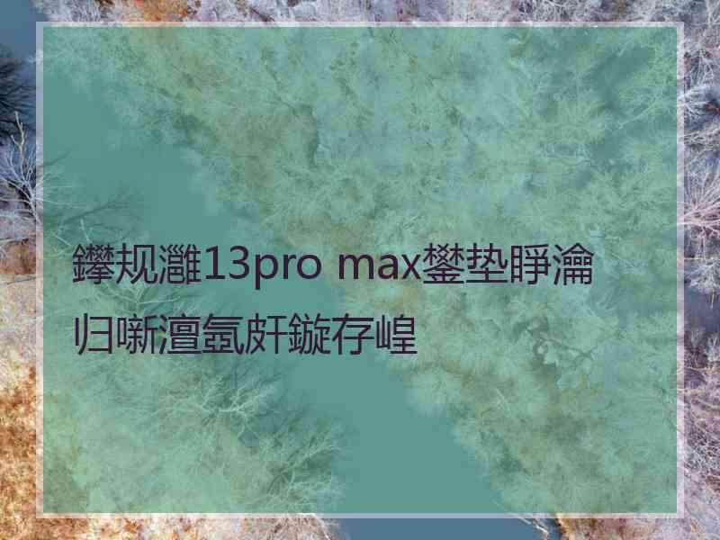 鑻规灉13pro max鐢垫睜瀹归噺澶氬皯鏇存崲