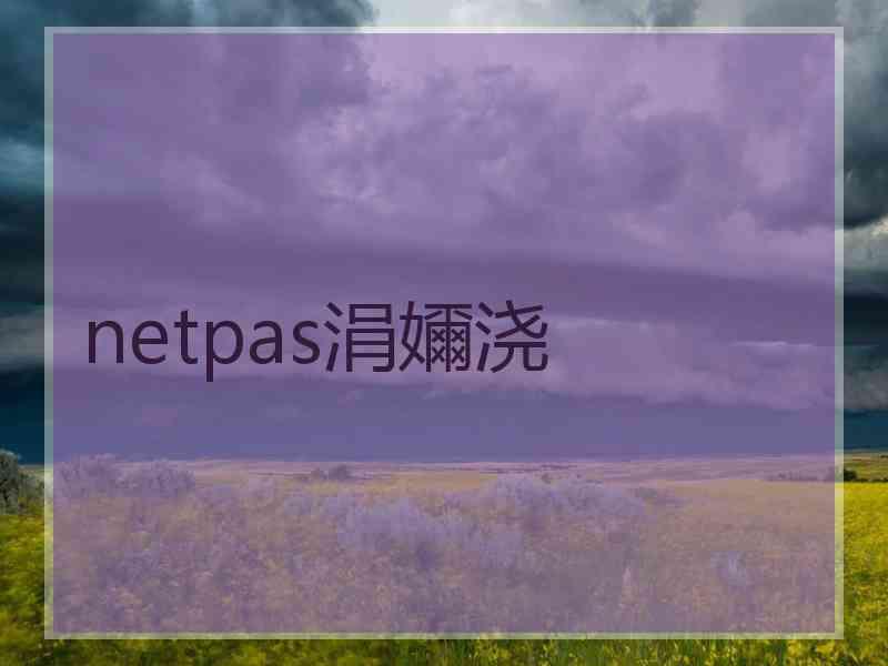 netpas涓嬭浇