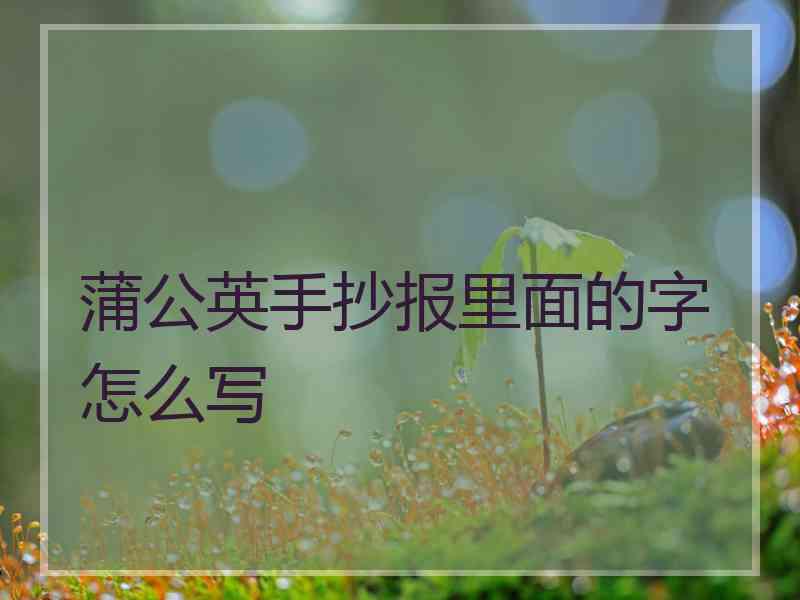 蒲公英手抄报里面的字怎么写