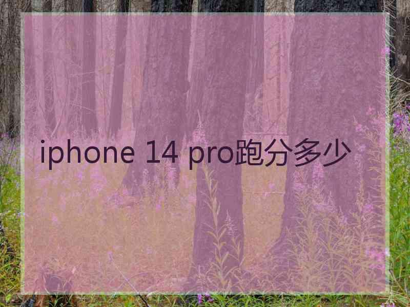 iphone 14 pro跑分多少