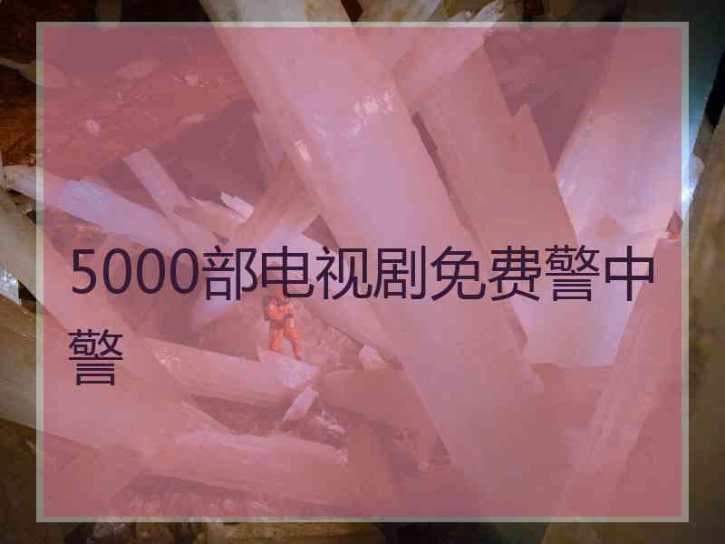 5000部电视剧免费警中警