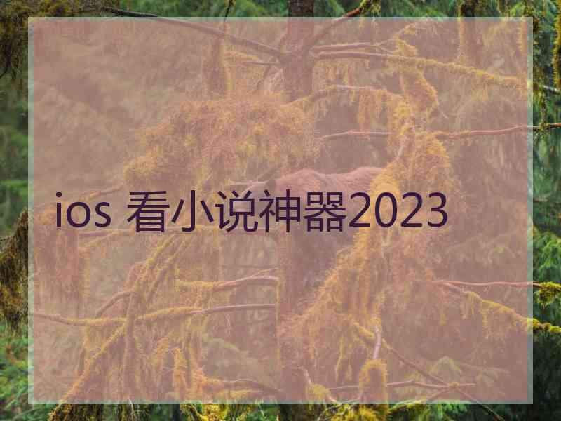 ios 看小说神器2023