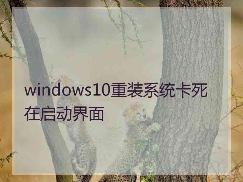 windows10重装系统卡死在启动界面