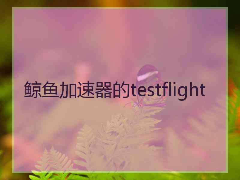 鲸鱼加速器的testflight