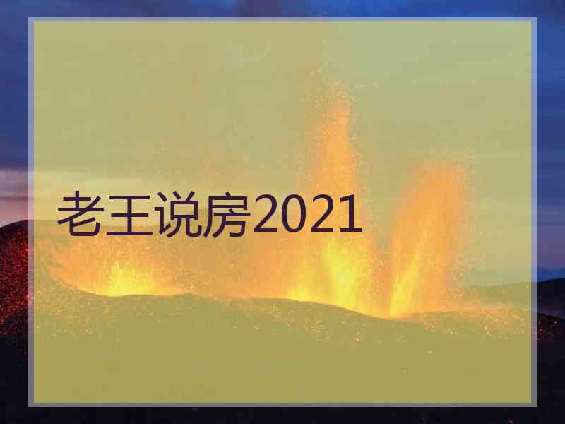 老王说房2021