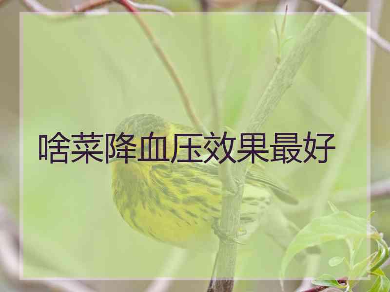 啥菜降血压效果最好