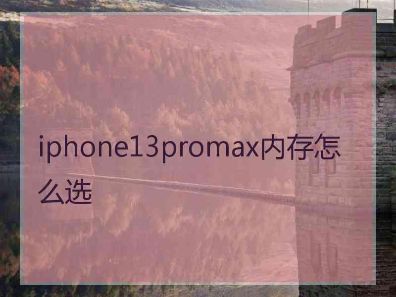 iphone13promax内存怎么选