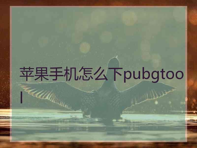 苹果手机怎么下pubgtool