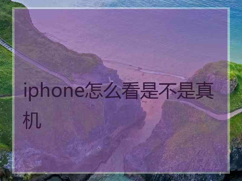 iphone怎么看是不是真机