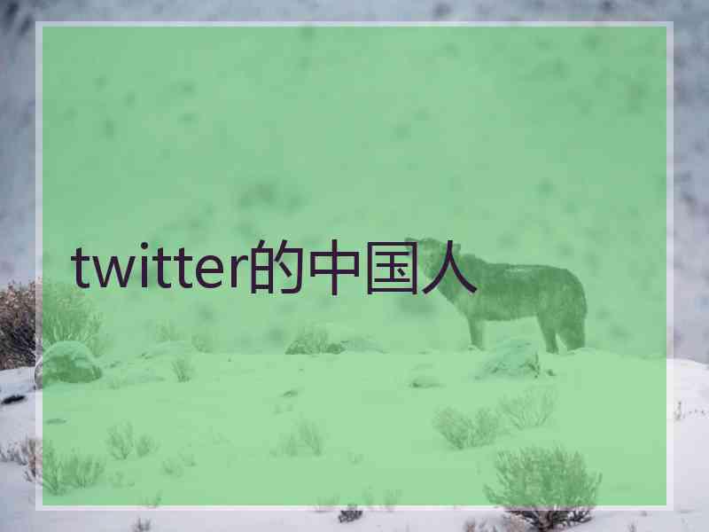 twitter的中国人