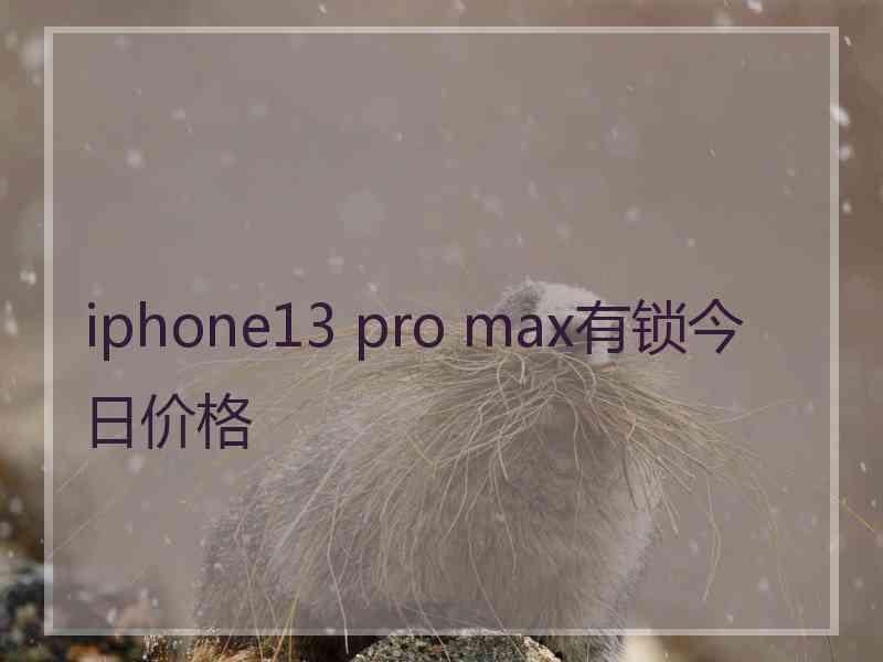 iphone13 pro max有锁今日价格