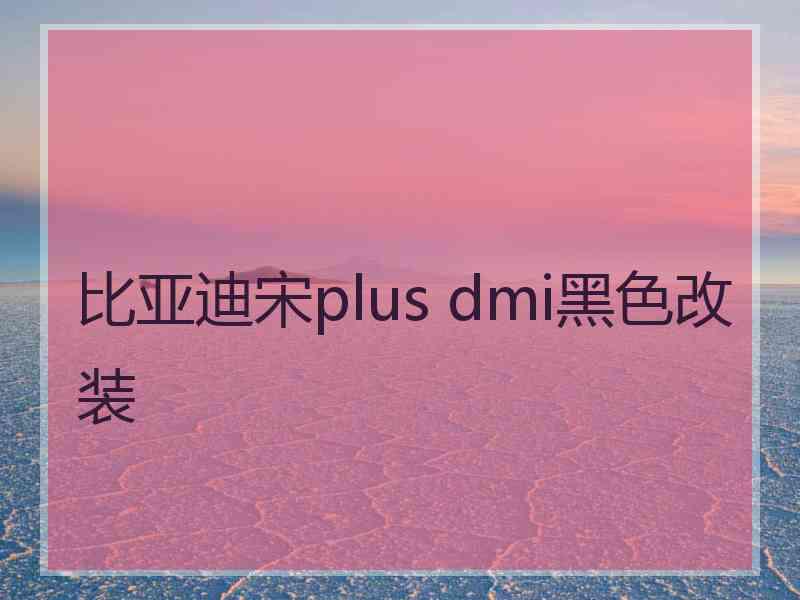 比亚迪宋plus dmi黑色改装