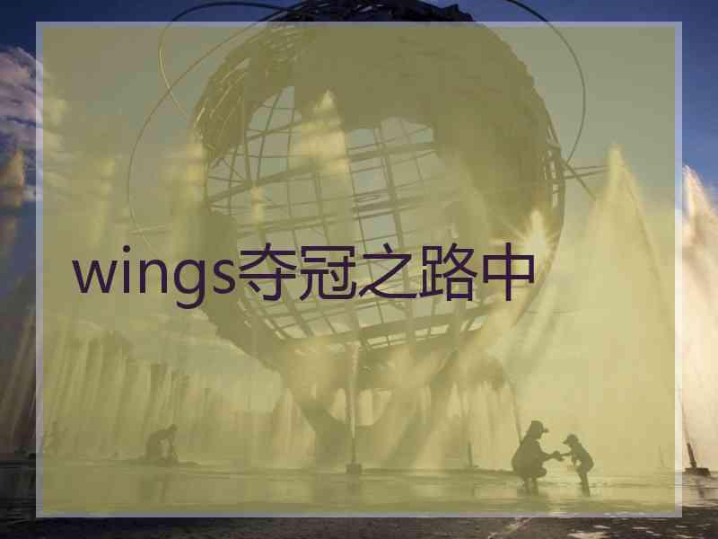 wings夺冠之路中