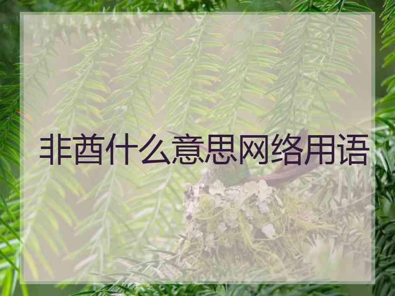 非酋什么意思网络用语