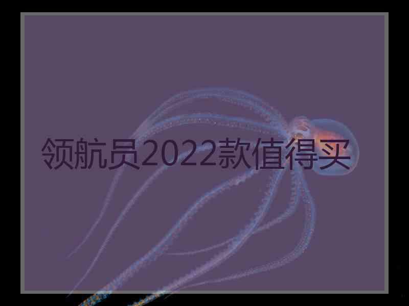 领航员2022款值得买