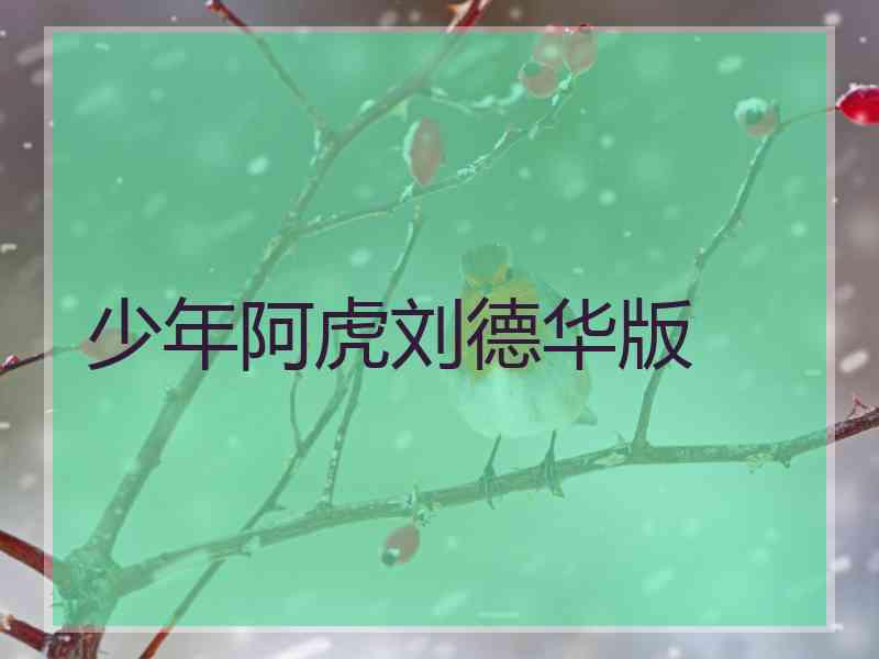 少年阿虎刘德华版