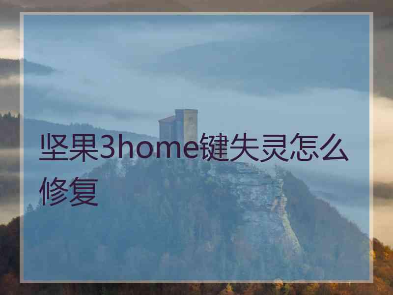 坚果3home键失灵怎么修复