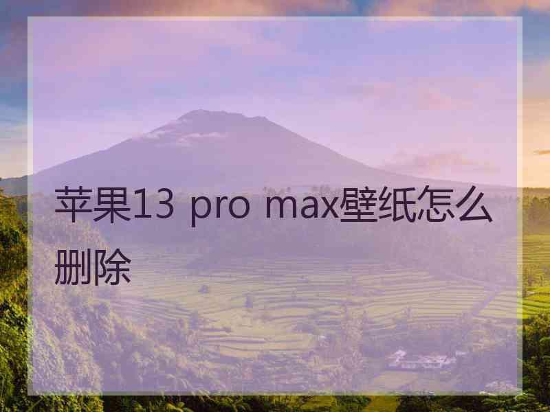 苹果13 pro max壁纸怎么删除