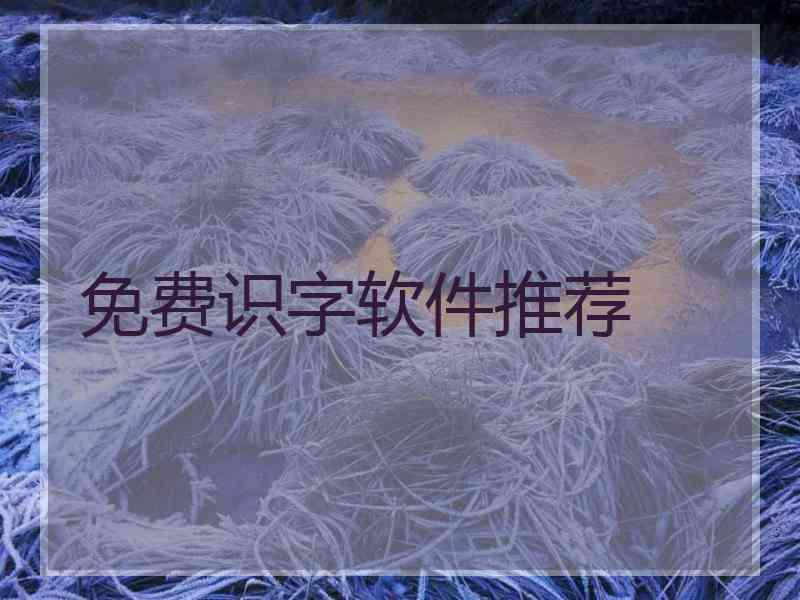 免费识字软件推荐