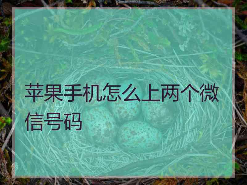 苹果手机怎么上两个微信号码