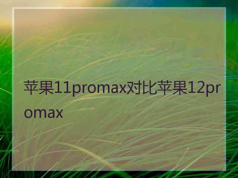 苹果11promax对比苹果12promax