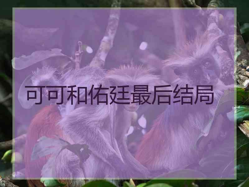 可可和佑廷最后结局