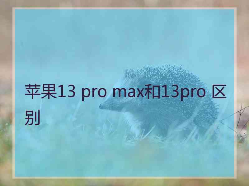 苹果13 pro max和13pro 区别