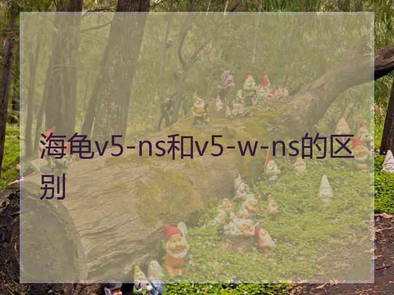 海龟v5-ns和v5-w-ns的区别