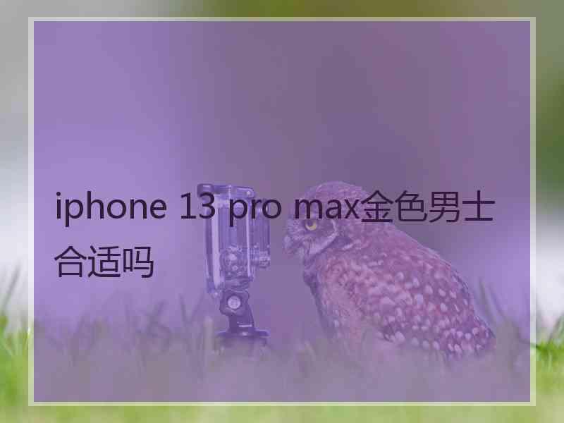 iphone 13 pro max金色男士合适吗