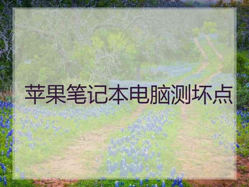 苹果笔记本电脑测坏点