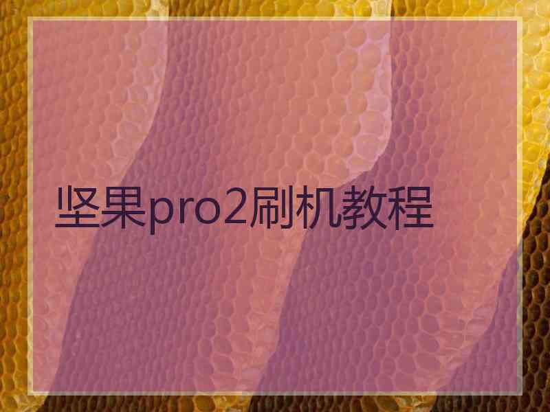 坚果pro2刷机教程