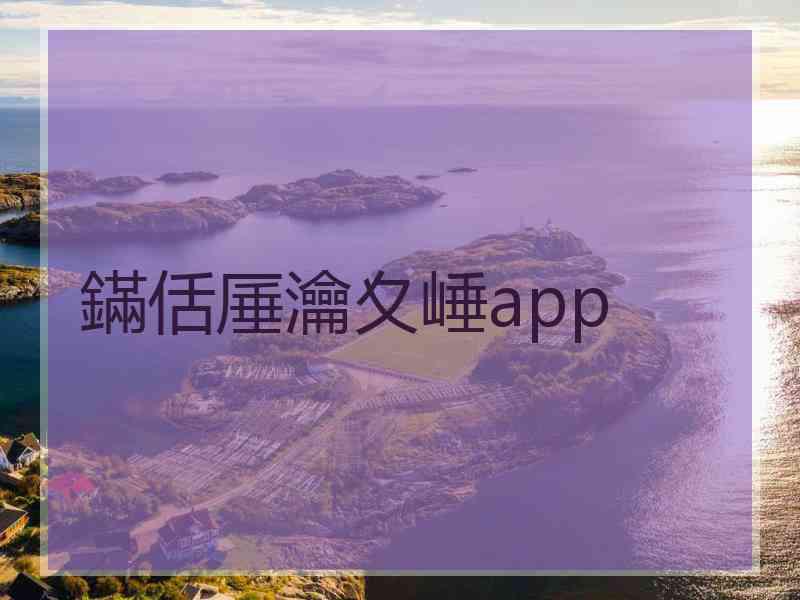 鏋佸厜瀹夊崜app