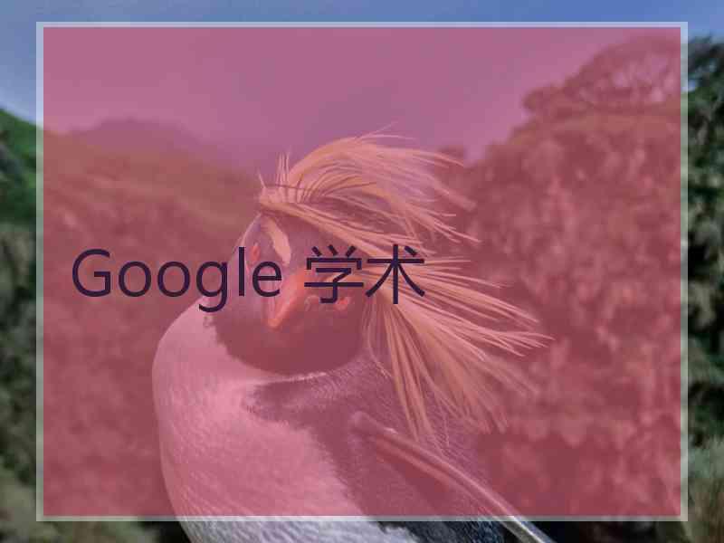 Google 学术