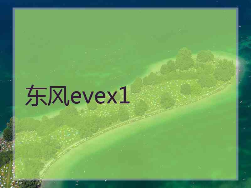 东风evex1