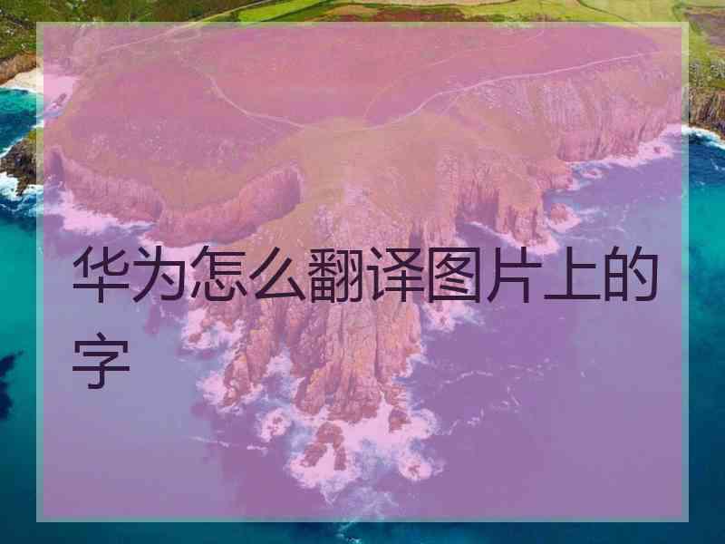 华为怎么翻译图片上的字