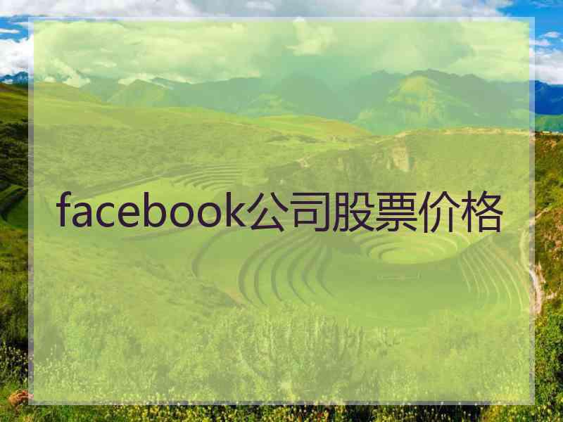 facebook公司股票价格