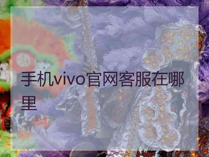 手机vivo官网客服在哪里