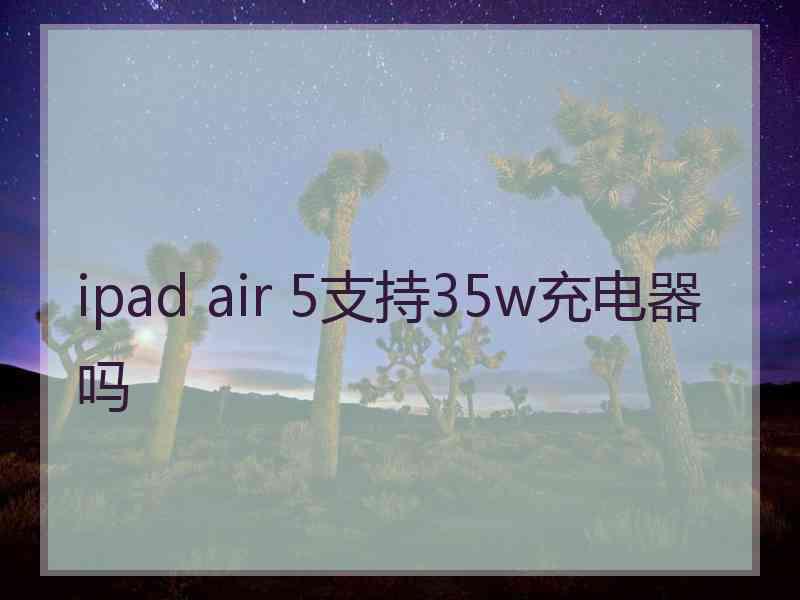 ipad air 5支持35w充电器吗