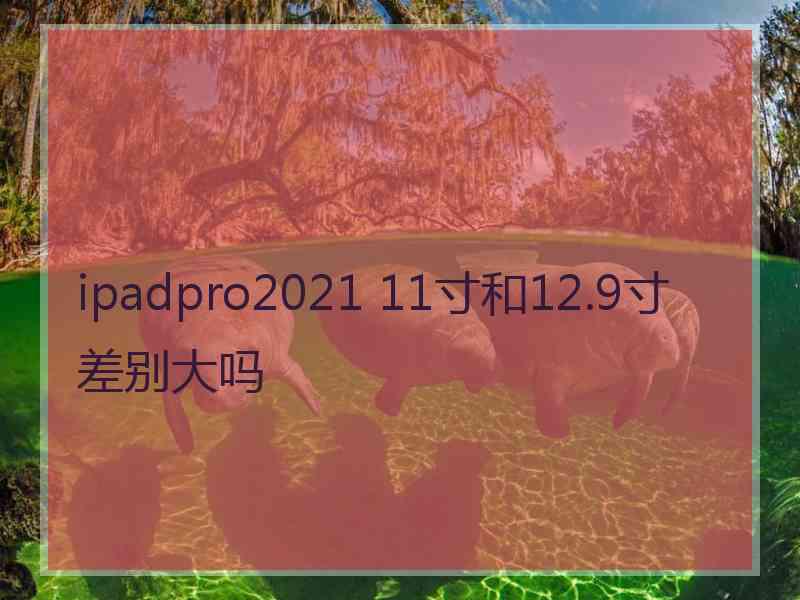 ipadpro2021 11寸和12.9寸差别大吗