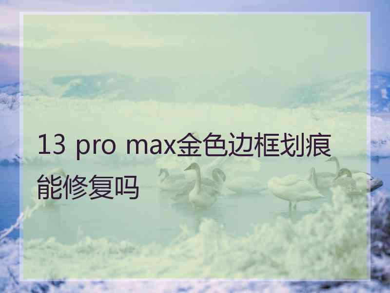 13 pro max金色边框划痕能修复吗