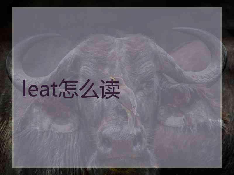 leat怎么读