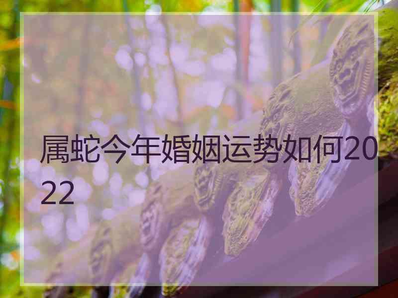 属蛇今年婚姻运势如何2022